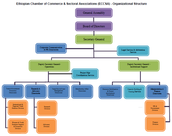 2.2 Executive Committee